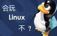 linux下使用技巧
